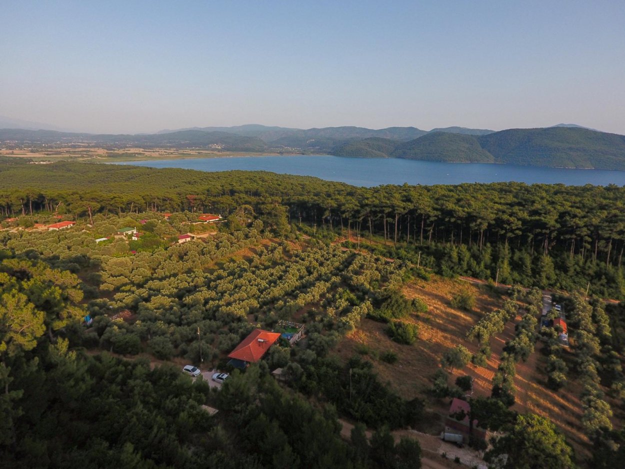 Ağaç Ev Akyaka