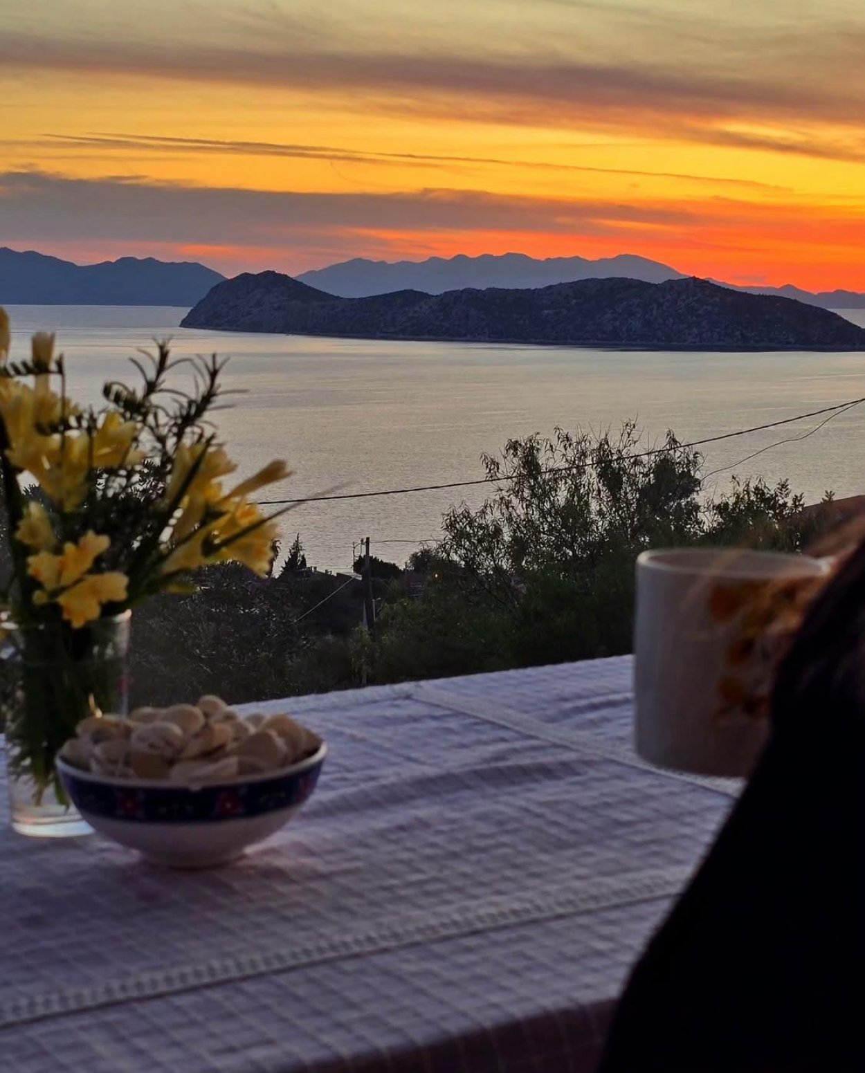 Serenity Suite Söğüt 2+1