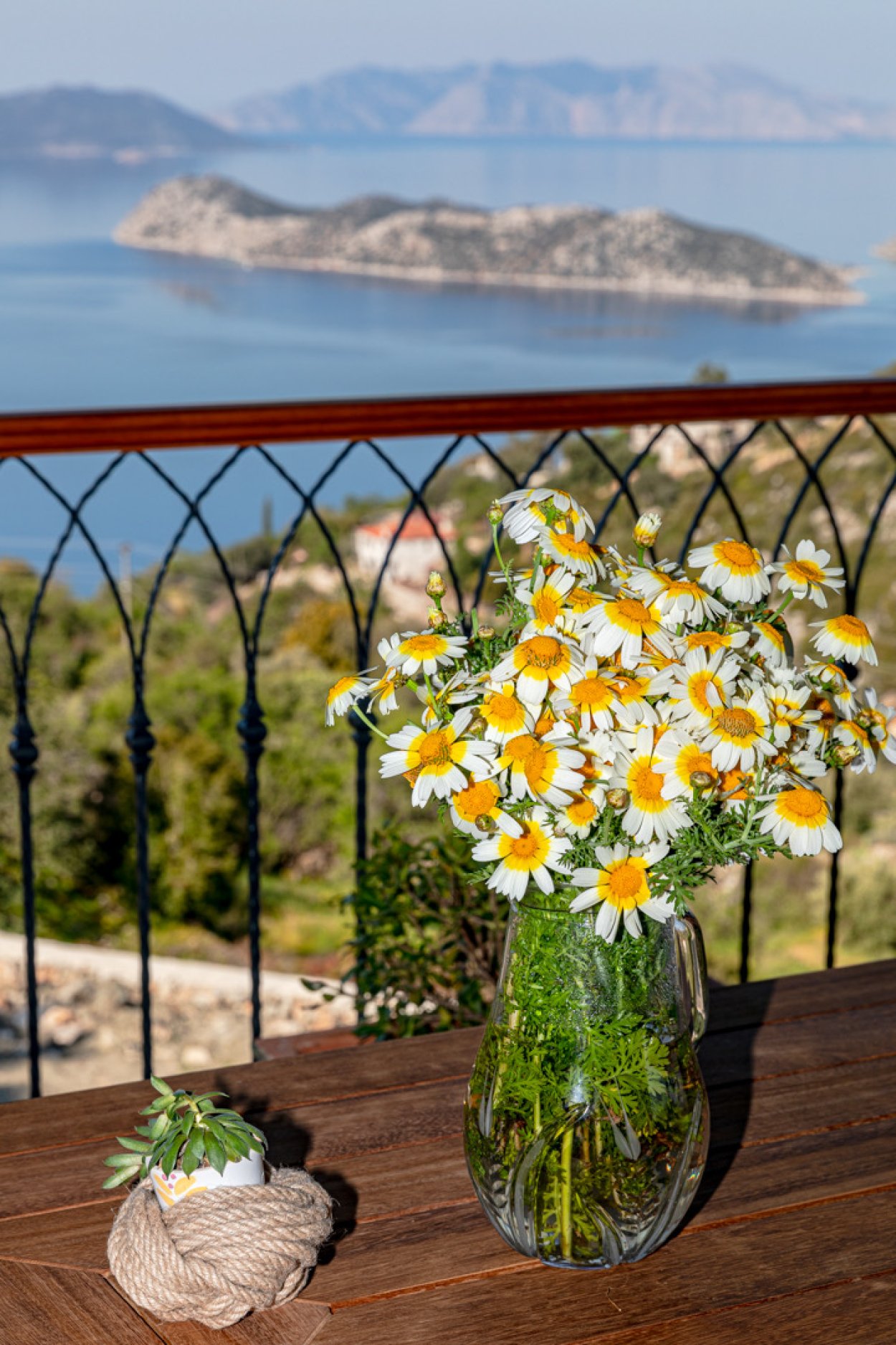 Manzara Villa 2 Söğüt