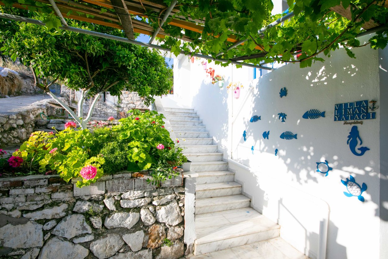 Otto Home Söğüt