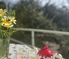 Serenity Suite 1+1 Söğüt