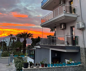 Palm Home 4 Siteler