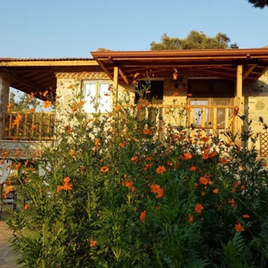 Villa İksir Selçuk