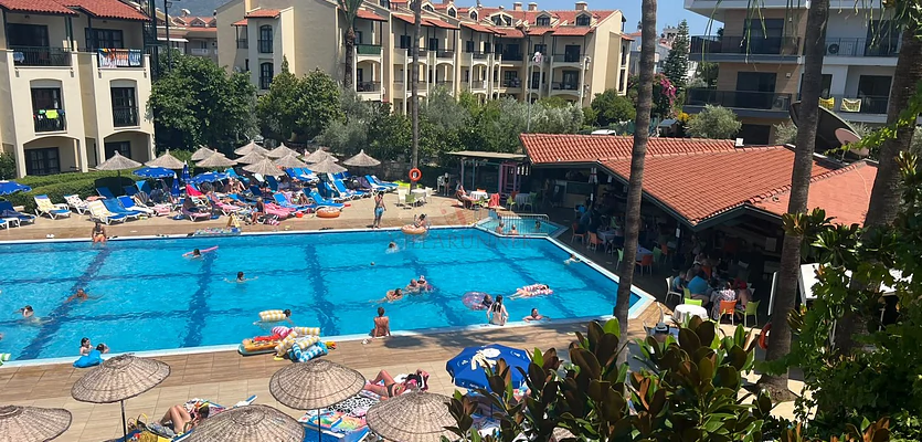 Turkuaz Daire Armutalan